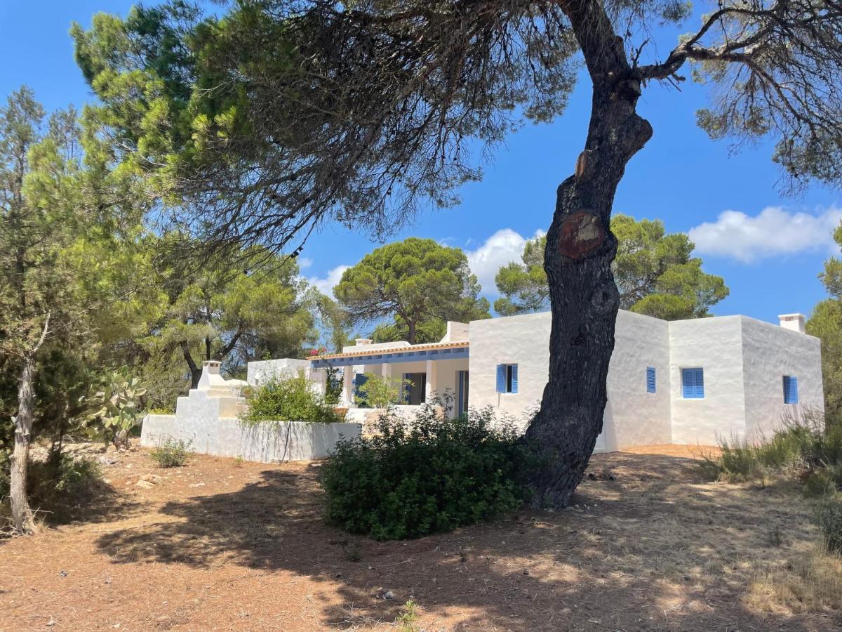 Sa Tanca Des Pla Villa San Francisco Javier Luaran gambar